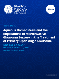 Aqueous Homeostasis and the Implications of Microinvasive Glaucoma Surgery in the Treatment of Primary Open Angle Glaucoma