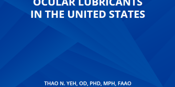 Scientific Overview of Ocular Lubricants in the United States
